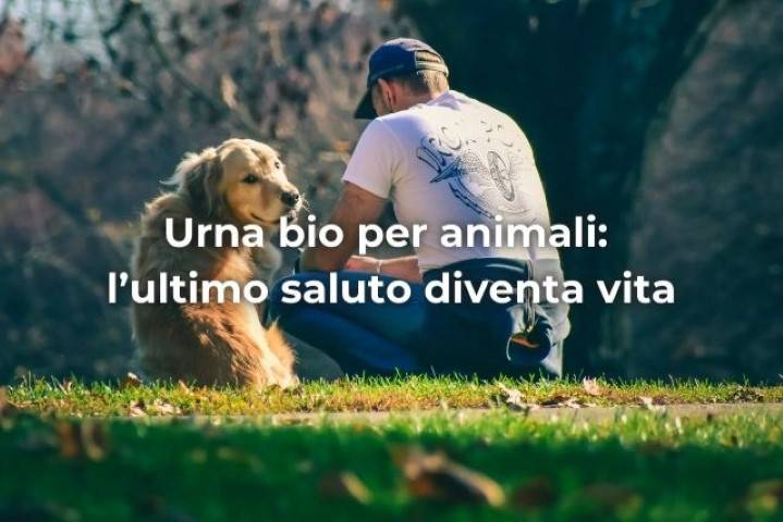 Urna bio per animali l’ultimo saluto diventa vita